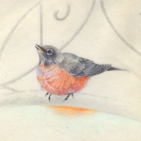 Winter Robin-Watercolor on Vellum